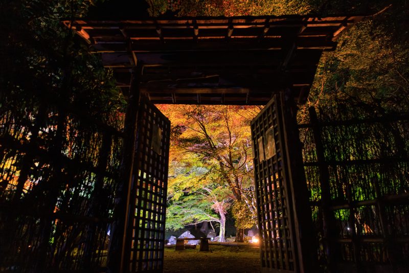 北畠神社の写真「庭園入口から眺める紅葉」