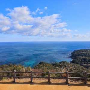 箱田山園地のデッキから眺める海