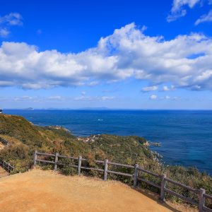 箱田山園地から眺める海