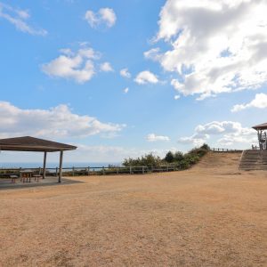 箱田山園地