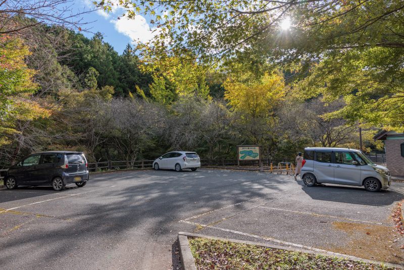 丸山公園のドウダンツツジの写真「丸山公園の駐車場」