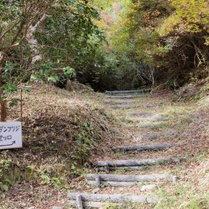 丸山公園のドウダンツツジの写真「ドウダンツツジの入口」