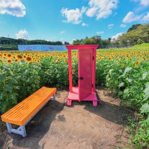 小型サイズのどこでもドア