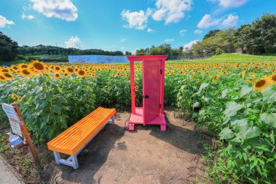 とことめの里 一志の写真「小型サイズのどこでもドア」
