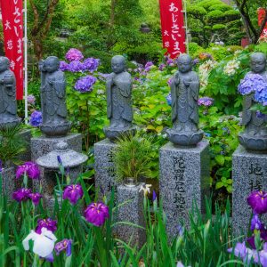 地蔵と紫陽花と花菖蒲