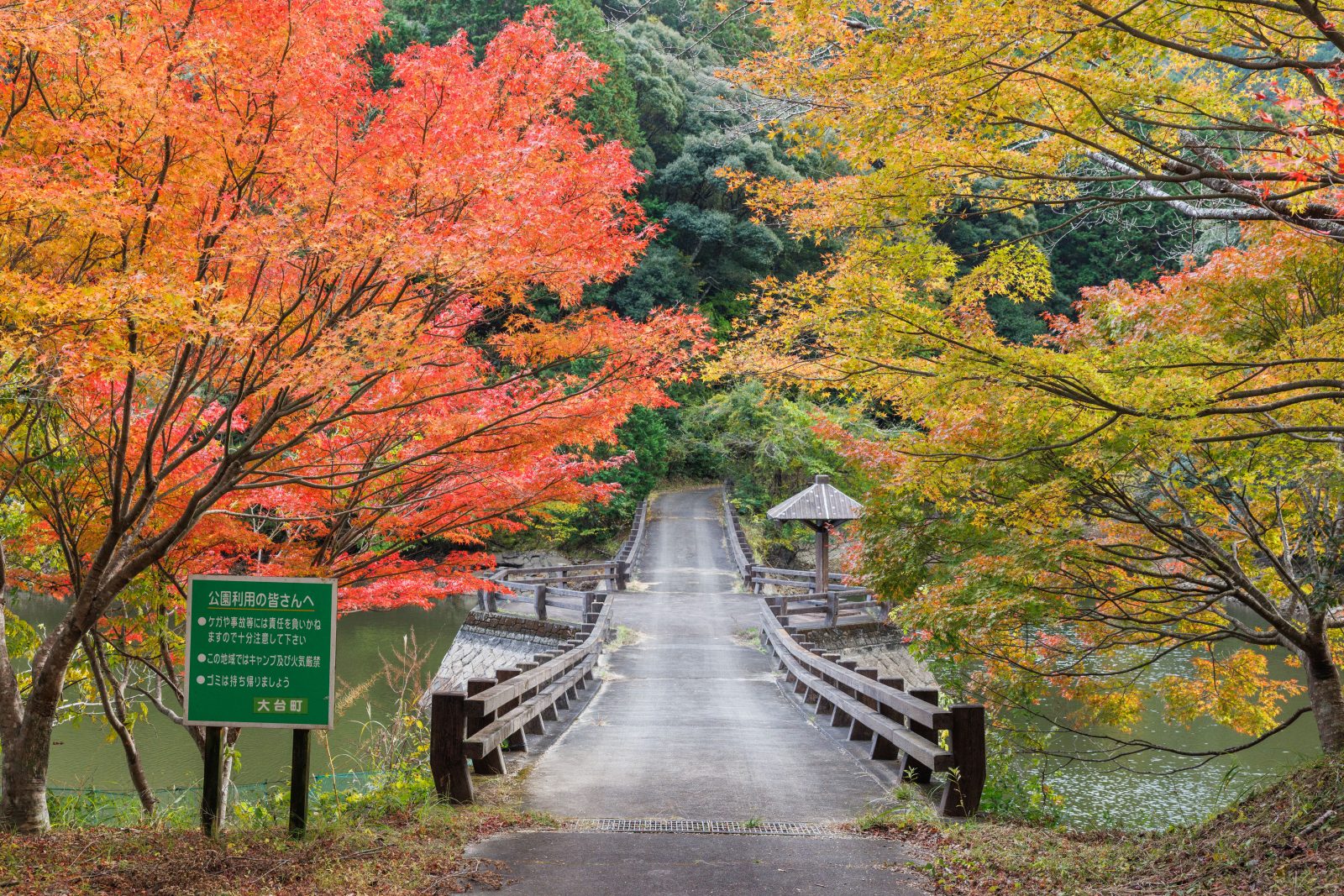 真手公園の写真「持越池に掛かる橋」