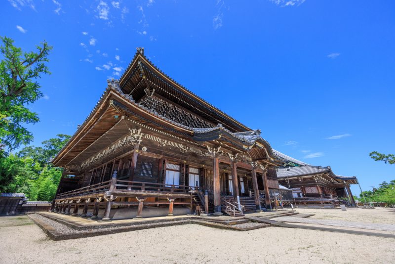 高田本山専修寺の写真「初夏の青空の下に佇む如来堂と御影堂」