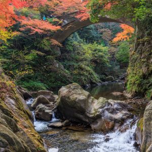 川から眺める忍田橋と紅葉