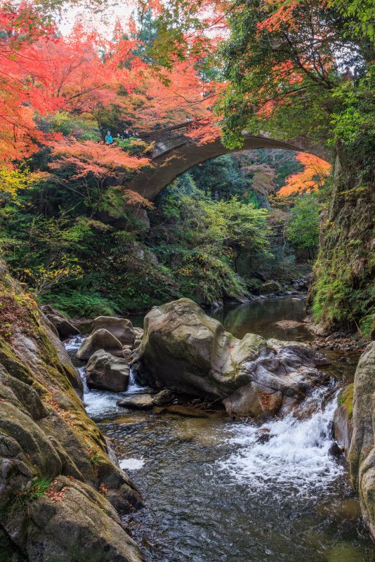 河内渓谷の写真「川から眺める忍田橋と紅葉」