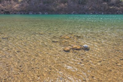 宮リバー度会パークの写真「透明度抜群の宮川」