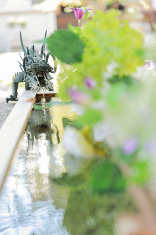 広禅寺の写真「花手水と龍」
