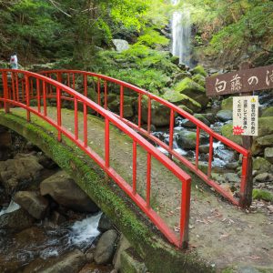 白藤の滝の写真「赤い橋」