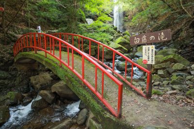 白藤滝の写真「赤い橋」