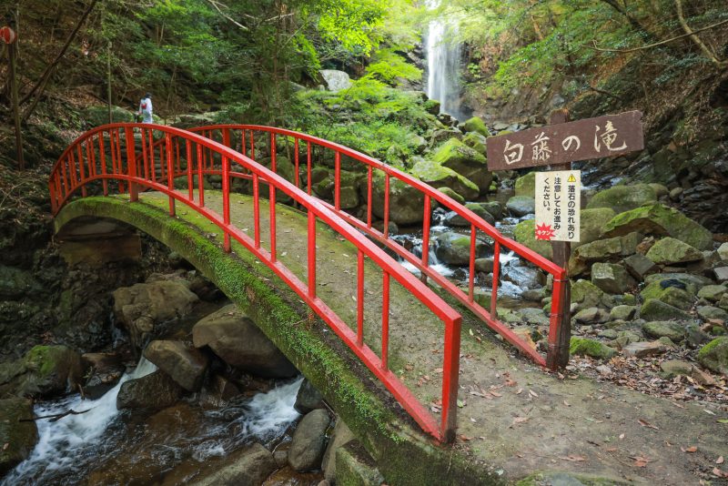 白藤の滝の写真「赤い橋」