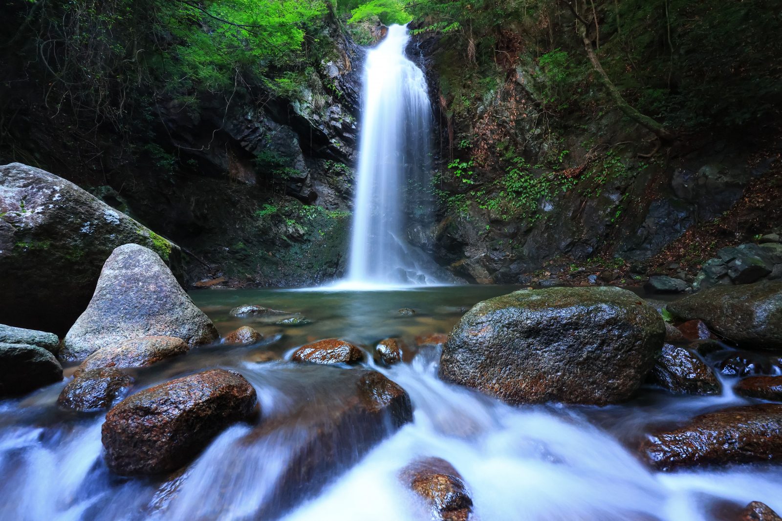 白藤の滝の写真「清流と滝」