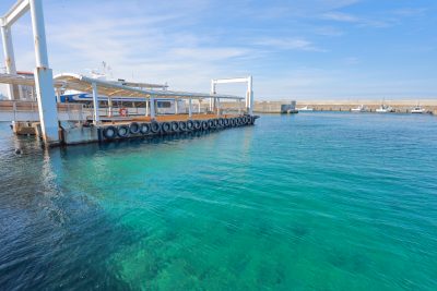 神島の写真「神島漁港から眺める海」