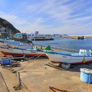 神島の写真「神島漁港」