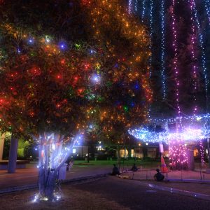 緑の風公園（久居駅東口）の写真「虹色ツリーと巨大ツリー」