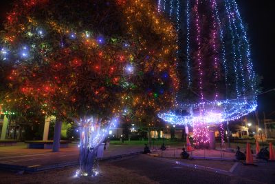 緑の風公園（久居駅東口）の写真「虹色ツリーと巨大ツリー」
