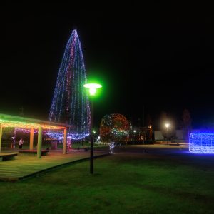 緑の風公園（久居駅東口）の写真「イルミネーションの全景」