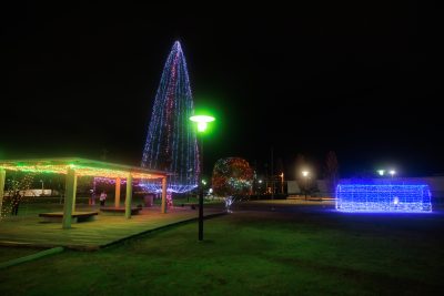 緑の風公園（久居駅東口）の写真「イルミネーションの全景」