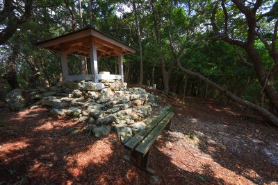 五ヶ所浅間山の写真「山頂の様子」