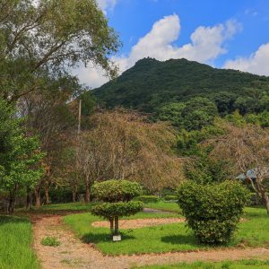 浅間山の麓