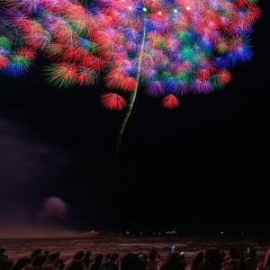 鈴鹿げんき花火大会の写真「2023年の彩色千輪菊（縦サイズ）」