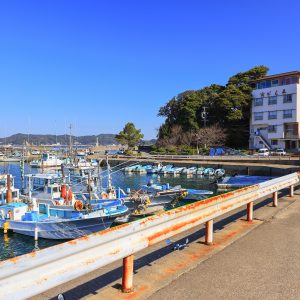 菅島の写真「菅島漁港の周辺を歩く」