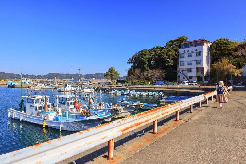 菅島の写真「菅島漁港の周辺を歩く」