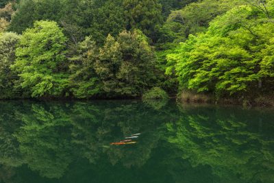 真手公園の写真「新緑の持越池」