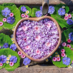 ハートの藤が浮かぶ花手水