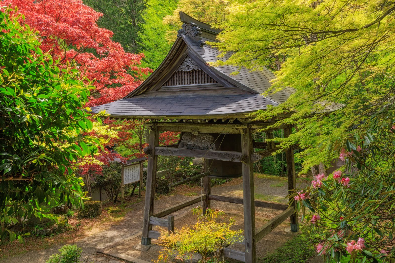 天開山泰運寺の写真「新緑の八角銅鐘」