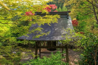 天開山泰運寺の写真「新緑に包まれる八角銅鐘」
