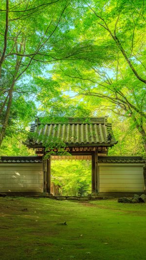 無料スマホ壁紙「新緑に包まれる山門」