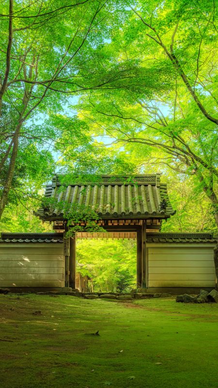 無料スマホ壁紙「新緑に包まれる山門」