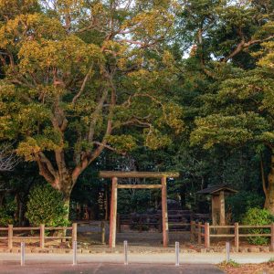 森の中に立つ鳥居