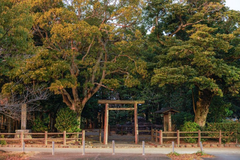 斎王の森の写真「森の中に立つ鳥居」