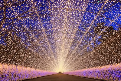 なばなの里の写真「点灯してすぐの光のトンネル」