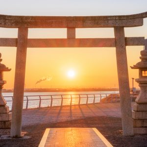 住吉神社の写真「鳥居からの日の出」