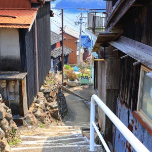 坂手島の写真「高台の通路」