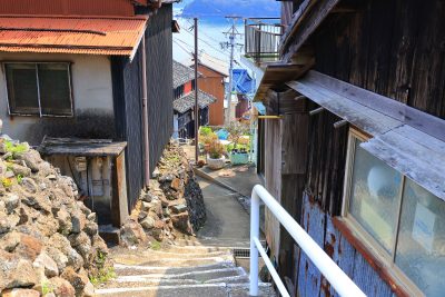 坂手島の写真「高台の通路」