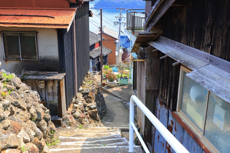 坂手島の写真「高台の通路」