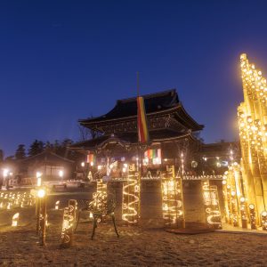 高田本山専修寺の写真「如来堂と竹あかりと夜空」