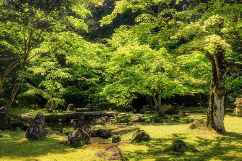 北畠神社の写真「新緑が美しい５月の庭園」