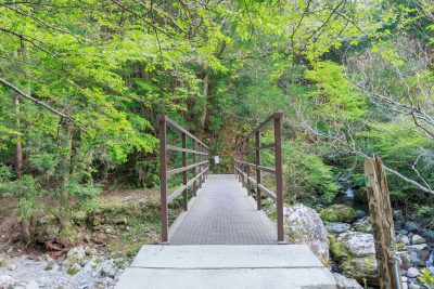 八重谷湧水の写真「駐車場から遊歩道に掛かる橋」
