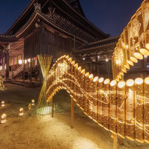 高田本山専修寺の写真「如来堂の近くにある豪華な竹あかり」