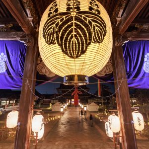 高田本山専修寺の写真「御影堂から眺めるお七夜の光景」