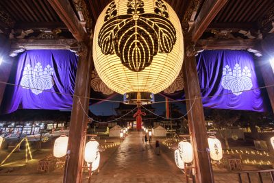 高田本山専修寺の写真「御影堂から眺めるお七夜の光景」