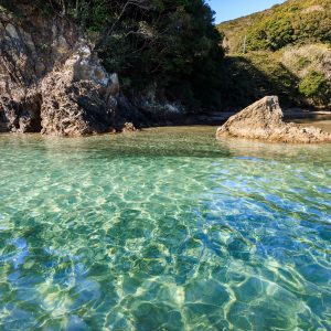 河川の透明度が高すぎる